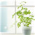 www.yonboz.com