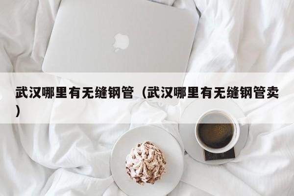 武汉哪里有无缝钢管（武汉哪里有无缝钢管卖）
