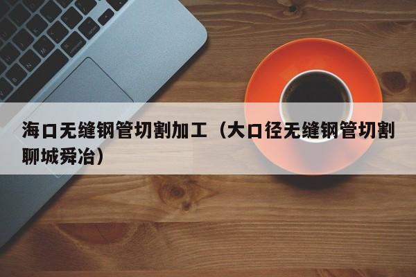 海口无缝钢管切割加工（大口径无缝钢管切割聊城舜冶）