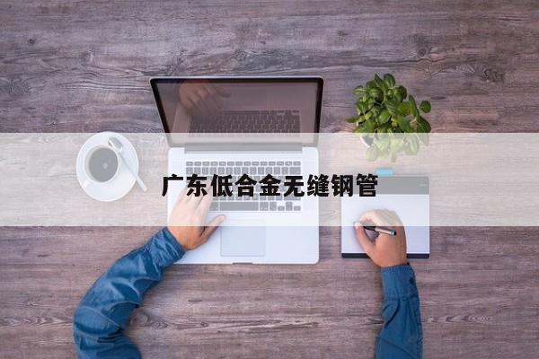 广东低合金无缝钢管